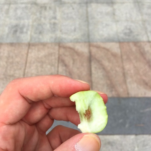 🇨🇳 Food I Remembered to Photograph On My Travels To and Thru China